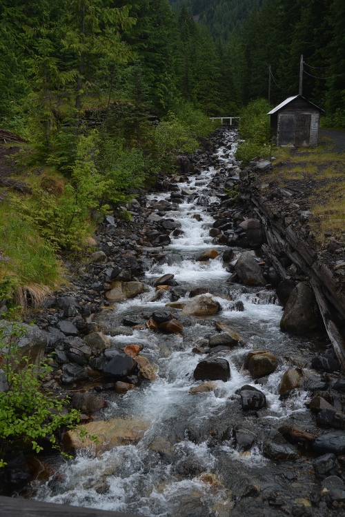 flowing creek